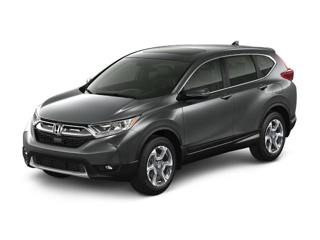 2019 Honda CRV Vehicle Photo in OAK LAWN, IL 60453-2517