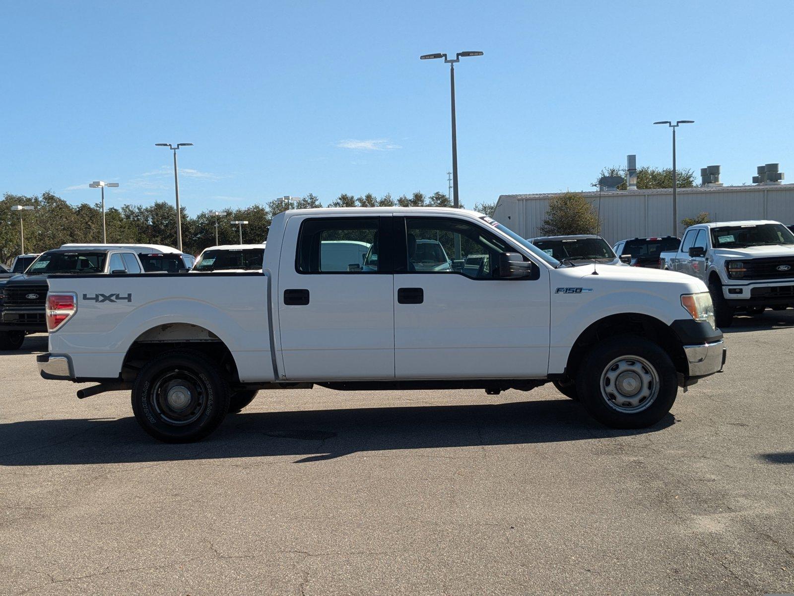 2014 Ford F-150 Vehicle Photo in St. Petersburg, FL 33713