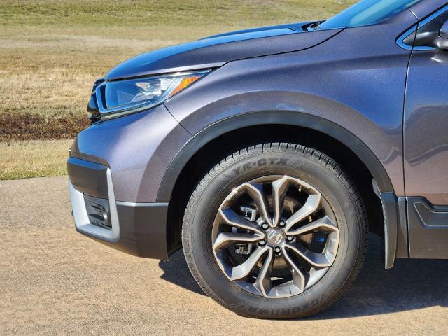 2022 Honda CR-V Vehicle Photo in Denison, TX 75020