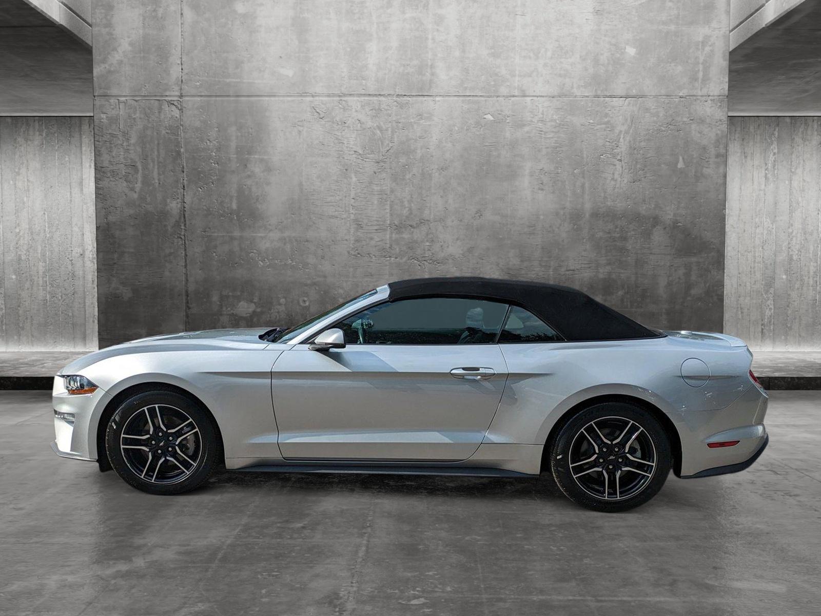 2019 Ford Mustang Vehicle Photo in Jacksonville, FL 32244