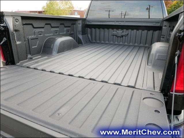 2025 Chevrolet Silverado 1500 Vehicle Photo in MAPLEWOOD, MN 55119-4794