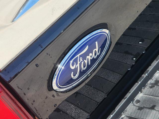 2024 Ford Super Duty F-250 SRW Vehicle Photo in STEPHENVILLE, TX 76401-3713