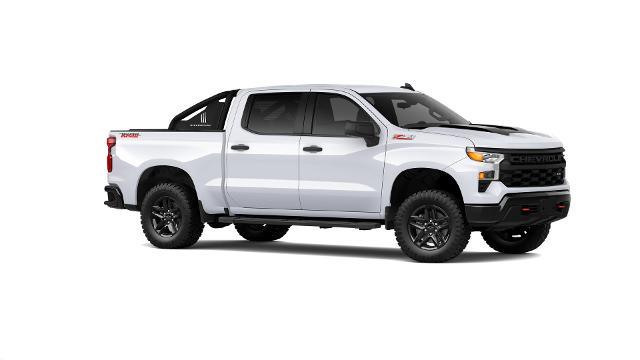 2025 Chevrolet Silverado 1500 Vehicle Photo in Salem, OR 97301