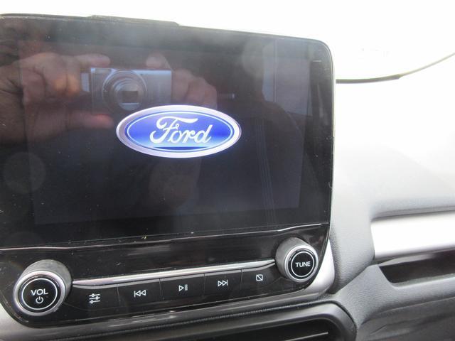 2020 Ford EcoSport Vehicle Photo in ELYRIA, OH 44035-6349