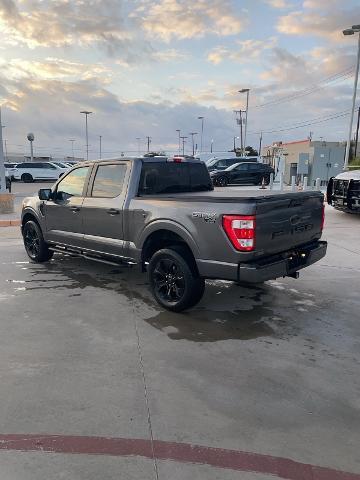 2022 Ford F-150 Vehicle Photo in STEPHENVILLE, TX 76401-3713