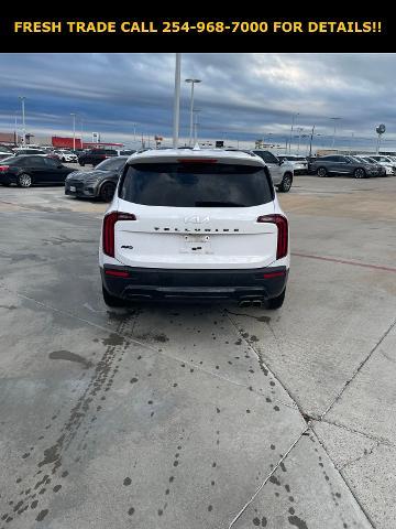 2022 Kia Telluride Vehicle Photo in STEPHENVILLE, TX 76401-3713