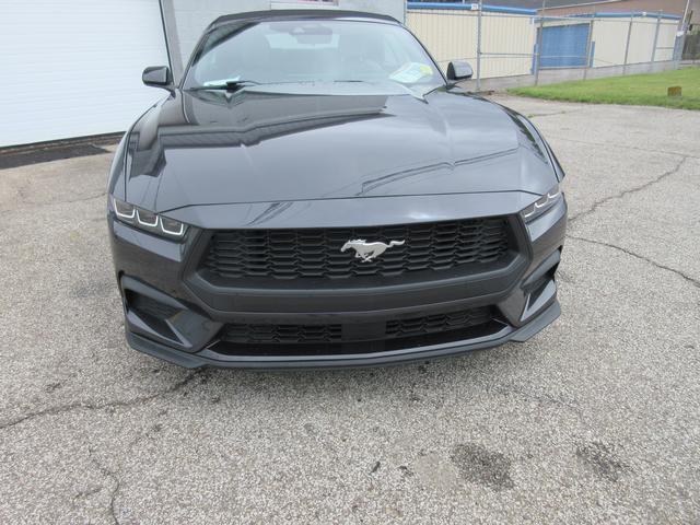 2024 Ford Mustang Vehicle Photo in ELYRIA, OH 44035-6349