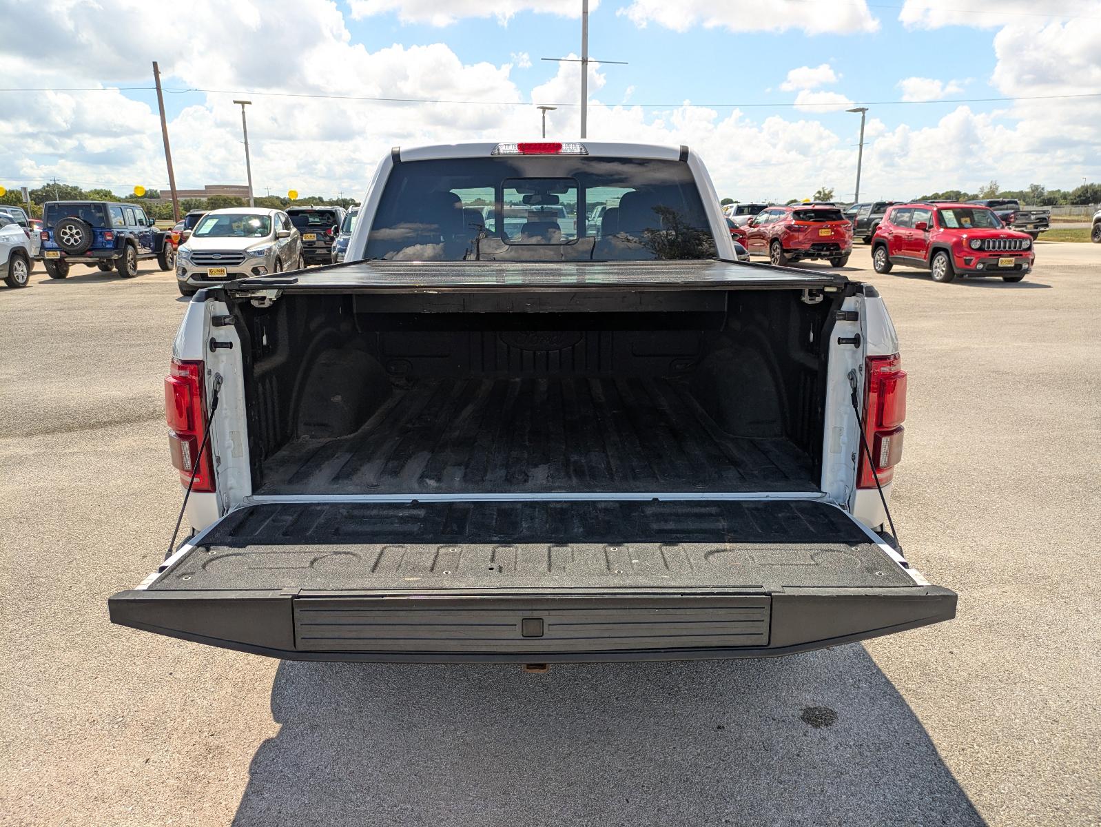 2015 Ford F-150 Vehicle Photo in Seguin, TX 78155