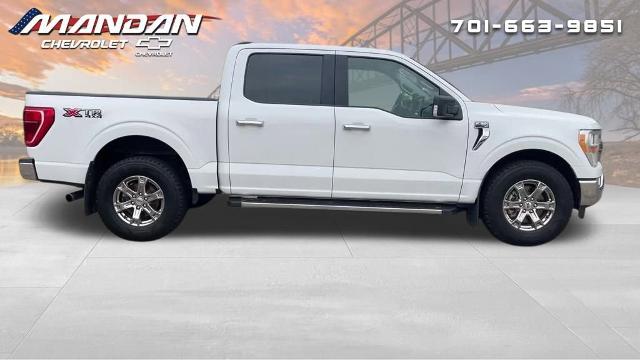 Used 2021 Ford F-150 XL with VIN 1FTFW1E86MFA39661 for sale in Mandan, ND