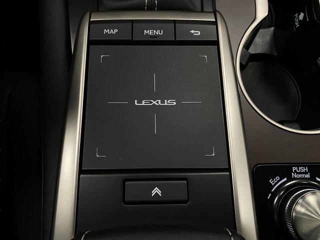 2022 Lexus RX 350 Vehicle Photo in Appleton, WI 54913