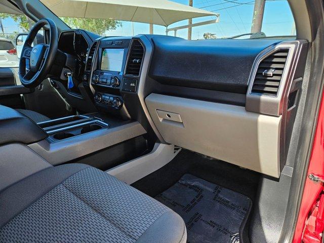 2019 Ford F-150 Vehicle Photo in SELMA, TX 78154-1459