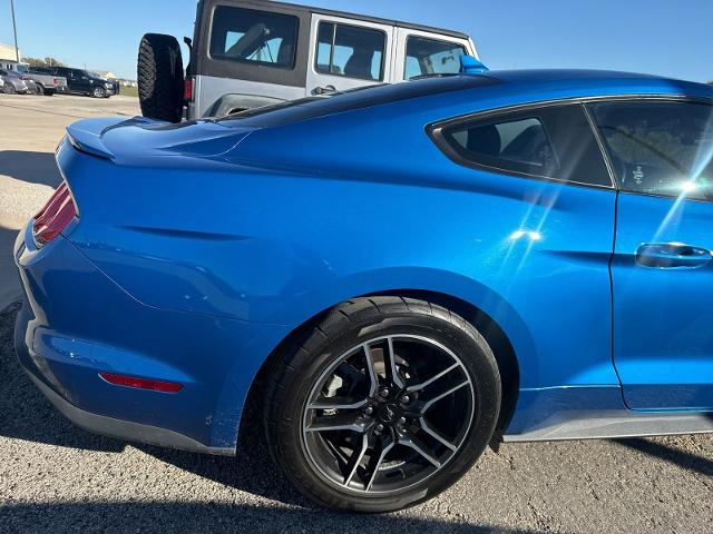 2021 Ford Mustang Vehicle Photo in Pilot Point, TX 76258