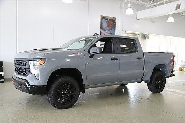 2024 Chevrolet Silverado 1500 Vehicle Photo in MEDINA, OH 44256-9001