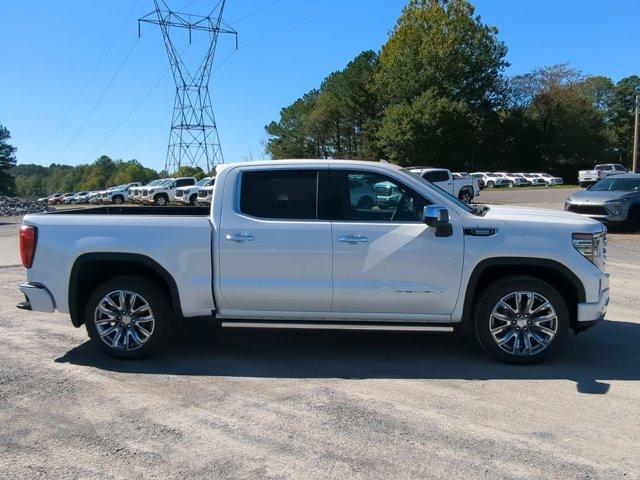 2025 GMC Sierra 1500 Vehicle Photo in ALBERTVILLE, AL 35950-0246