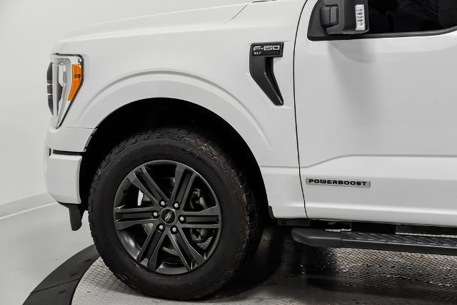 2021 Ford F-150 Vehicle Photo in Akron, OH 44312