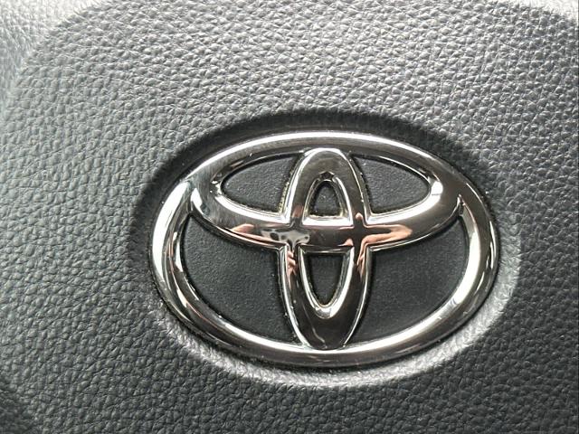 2022 Toyota RAV4 Vehicle Photo in DUNN, NC 28334-8900