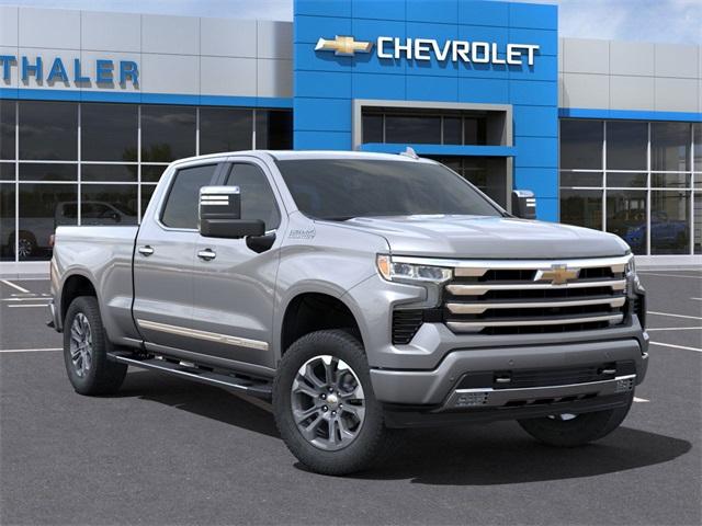 2025 Chevrolet Silverado 1500 Vehicle Photo in GLENWOOD, MN 56334-1123