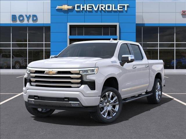 2025 Chevrolet Silverado 1500 Vehicle Photo in EMPORIA, VA 23847-1235