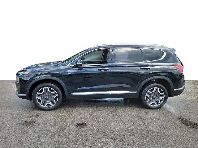 2023 Hyundai Santa Fe Vehicle Photo in POMPANO BEACH, FL 33064-7091