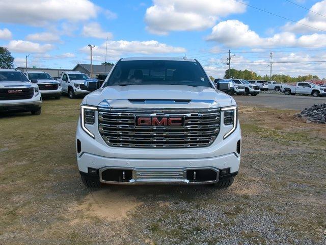 2025 GMC Sierra 1500 Vehicle Photo in ALBERTVILLE, AL 35950-0246