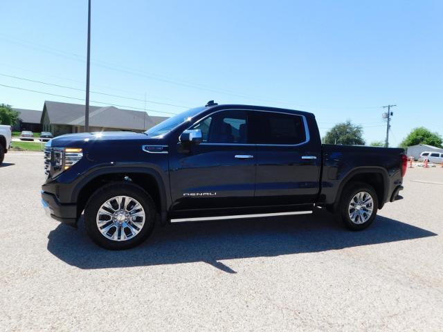 2024 GMC Sierra 1500 Vehicle Photo in Weatherford, TX 76087