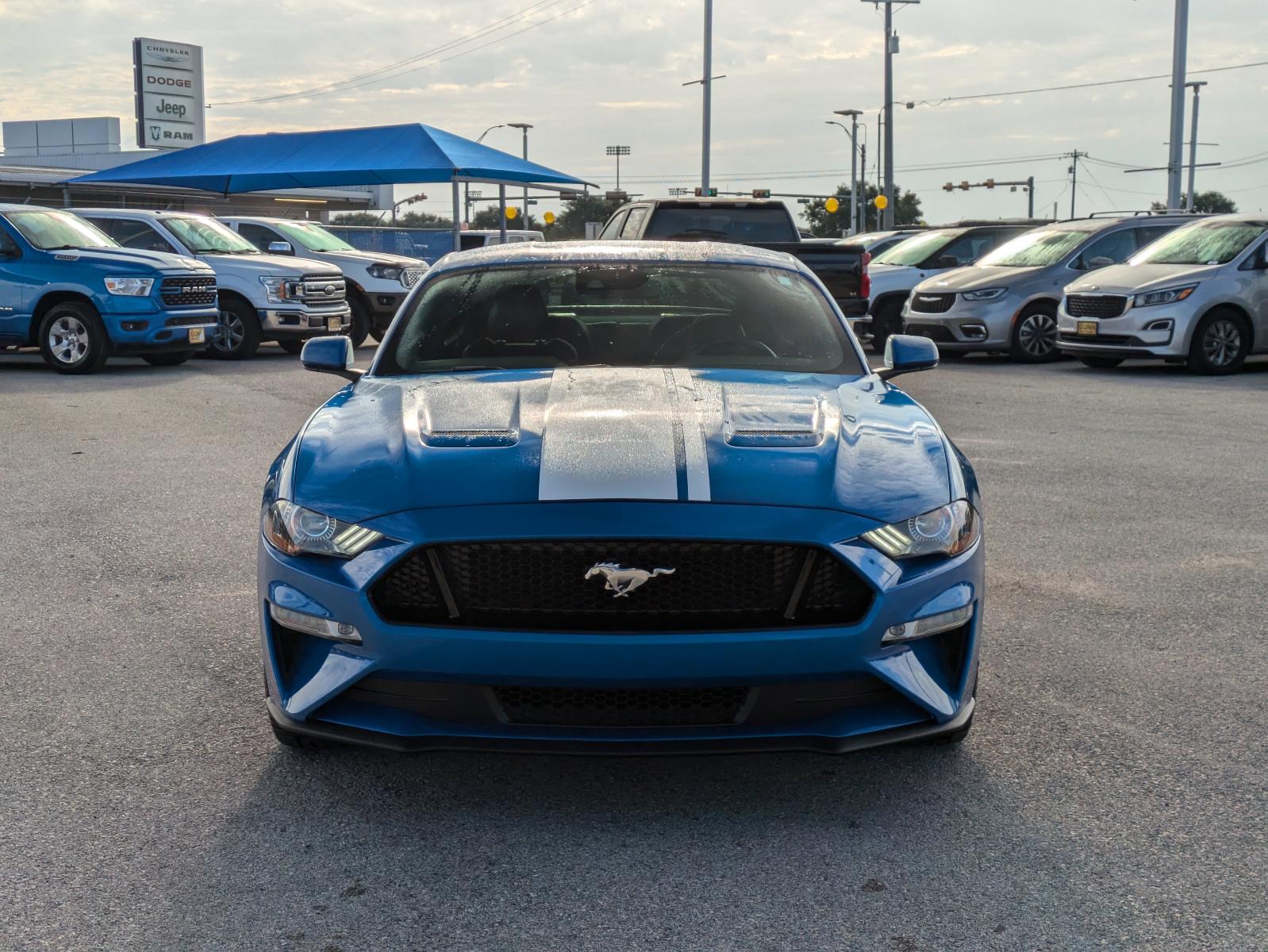 2021 Ford Mustang Vehicle Photo in Seguin, TX 78155