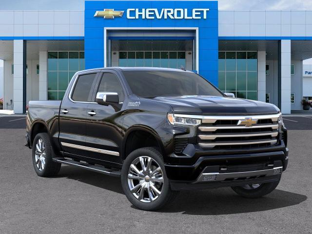 2024 Chevrolet Silverado 1500 Vehicle Photo in SELMA, TX 78154-1460