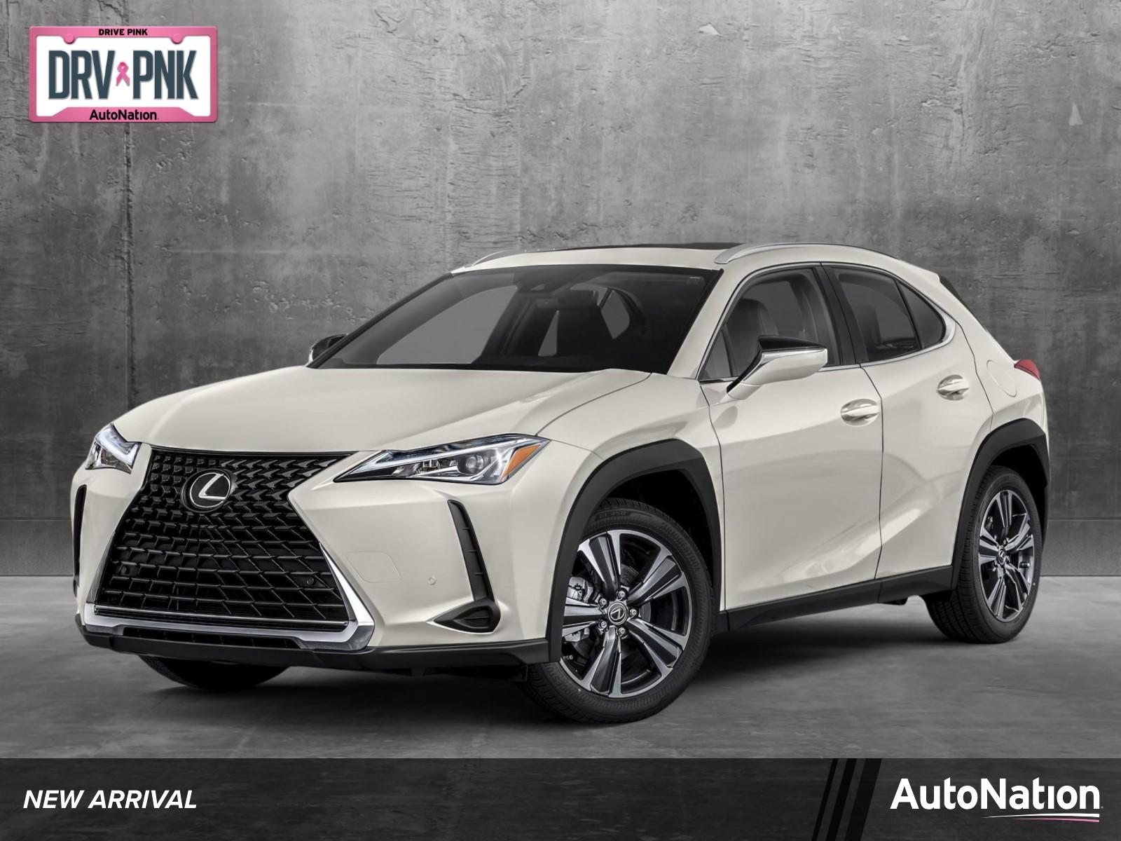 2019 Lexus UX 200 Vehicle Photo in Corpus Christi, TX 78415