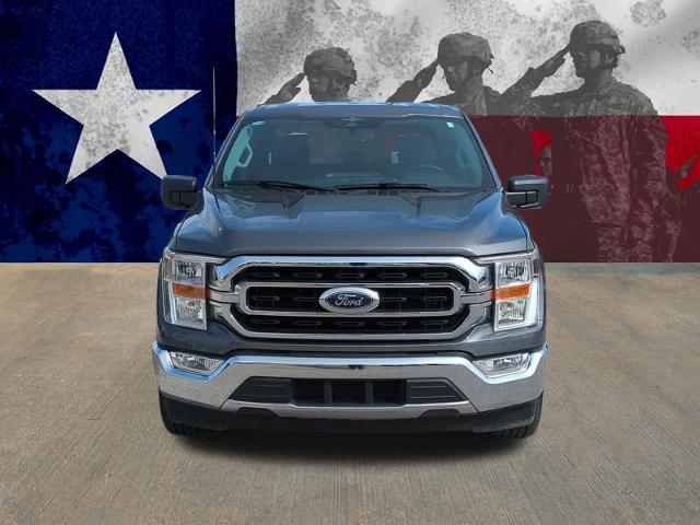 2023 Ford F-150 Vehicle Photo in Killeen, TX 76541
