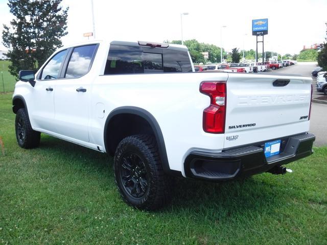 2024 Chevrolet Silverado 1500 Vehicle Photo in JASPER, GA 30143-8655