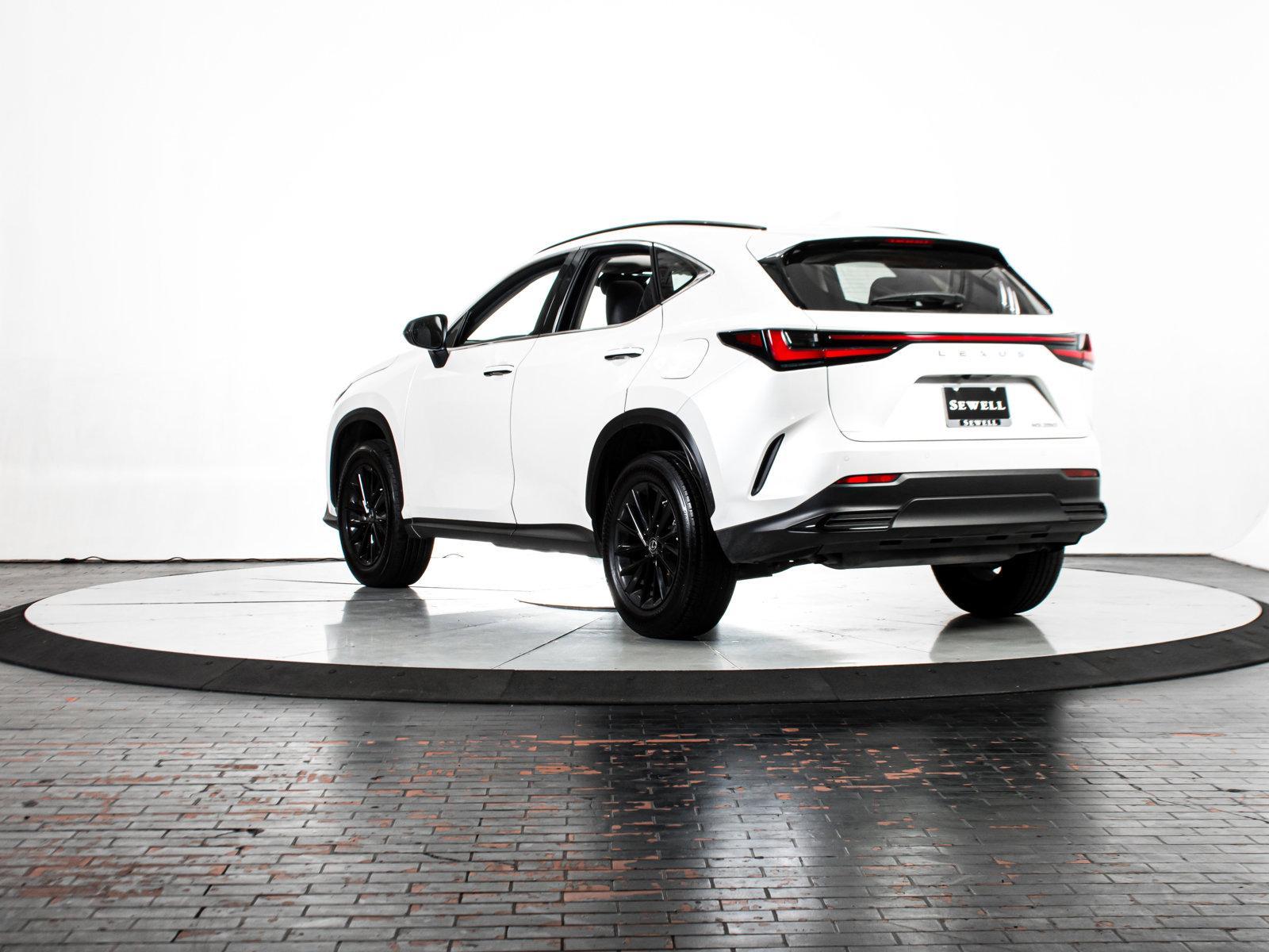 2022 Lexus NX 250 Vehicle Photo in DALLAS, TX 75235