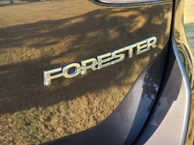 2024 Subaru Forester Vehicle Photo in DALLAS, TX 75209