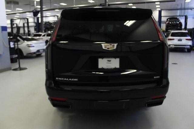 2023 Cadillac Escalade Vehicle Photo in White Plains, NY 10601