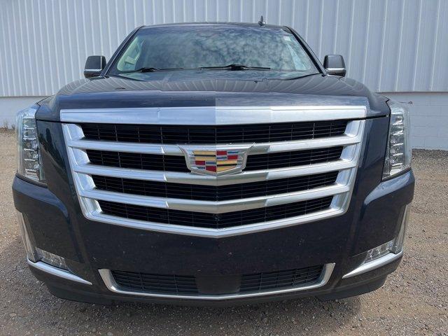 2019 Cadillac Escalade Vehicle Photo in JACKSON, MI 49202-1834