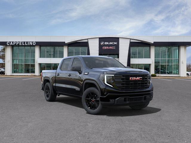 2025 GMC Sierra 1500 Vehicle Photo in WILLIAMSVILLE, NY 14221-2883