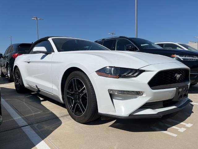 2022 Ford Mustang Vehicle Photo in Grapevine, TX 76051