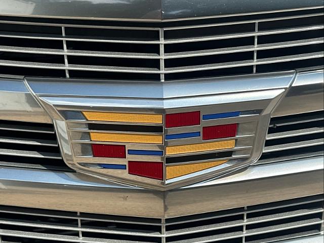 2019 Cadillac Escalade Vehicle Photo in DUNN, NC 28334-8900