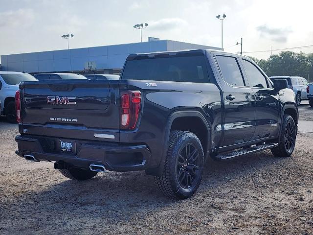 2024 GMC Sierra 1500 Vehicle Photo in PARIS, TX 75460-2116