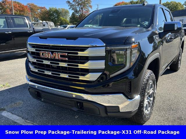 2025 GMC Sierra 1500 Vehicle Photo in CHICOPEE, MA 01020-5001