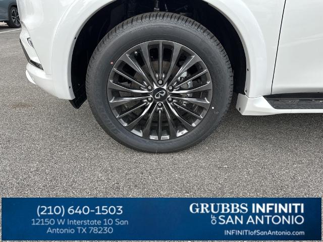 2024 INFINITI QX80 Vehicle Photo in San Antonio, TX 78230