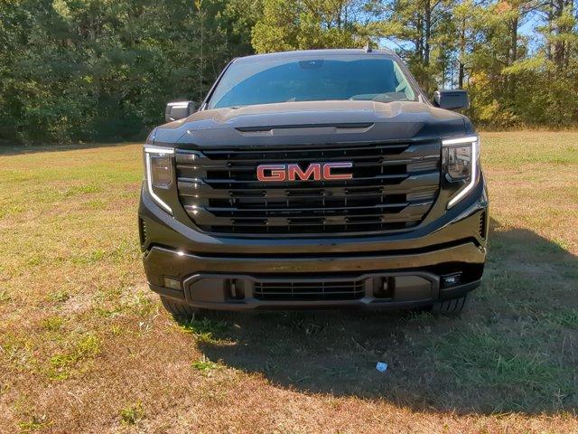 2024 GMC Sierra 1500 Vehicle Photo in ALBERTVILLE, AL 35950-0246