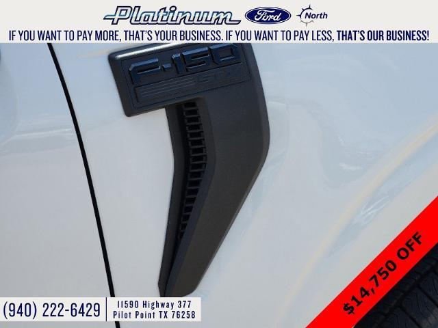 2024 Ford F-150 Vehicle Photo in Pilot Point, TX 76258