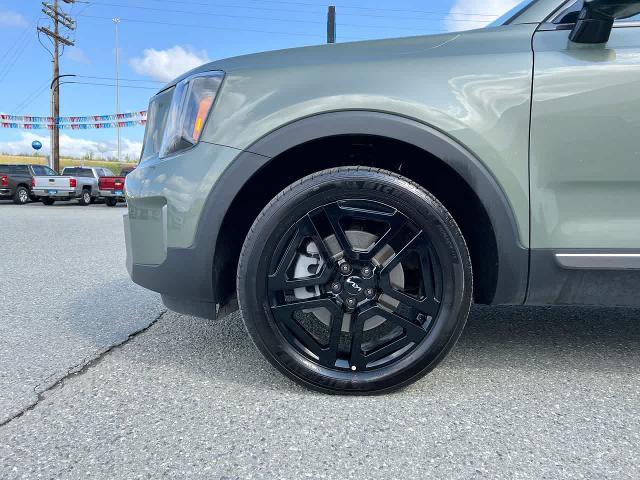 2023 Kia Telluride Vehicle Photo in WASILLA, AK 99654-8339