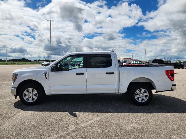 2023 Ford F-150 Vehicle Photo in HOUSTON, TX 77054-4802