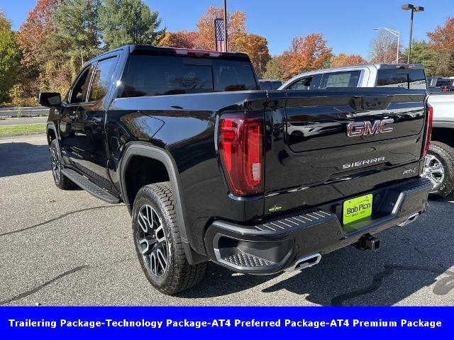 2025 GMC Sierra 1500 Vehicle Photo in CHICOPEE, MA 01020-5001