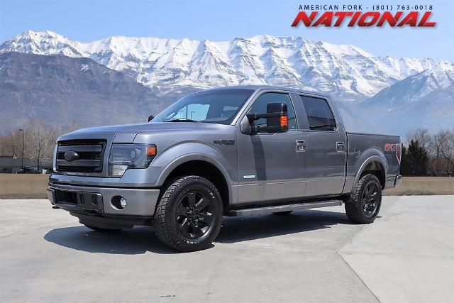 2014 Ford F-150 Vehicle Photo in AMERICAN FORK, UT 84003-3317