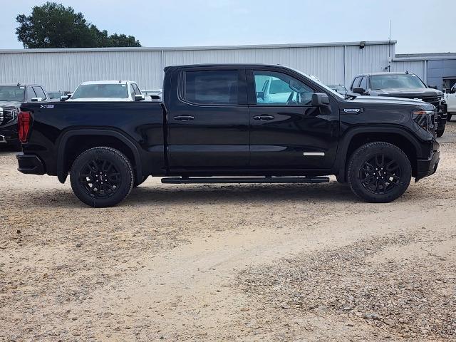 2024 GMC Sierra 1500 Vehicle Photo in PARIS, TX 75460-2116