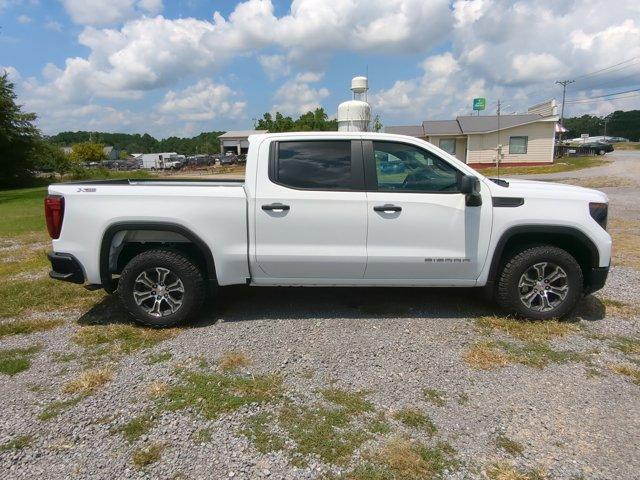 2024 GMC Sierra 1500 Vehicle Photo in ALBERTVILLE, AL 35950-0246