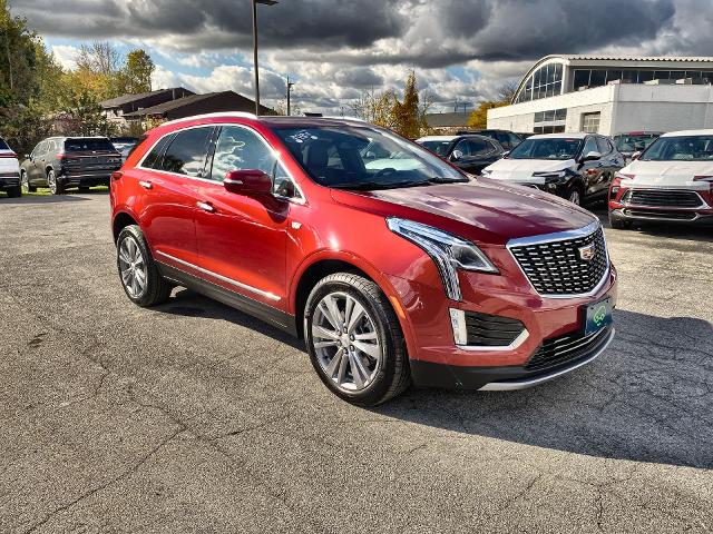 2024 Cadillac XT5 Vehicle Photo in WILLIAMSVILLE, NY 14221-2883