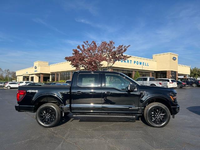 2024 Ford F-150 Vehicle Photo in Danville, KY 40422-2805